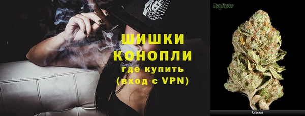 сатива Балахна
