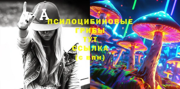 стафф Баксан