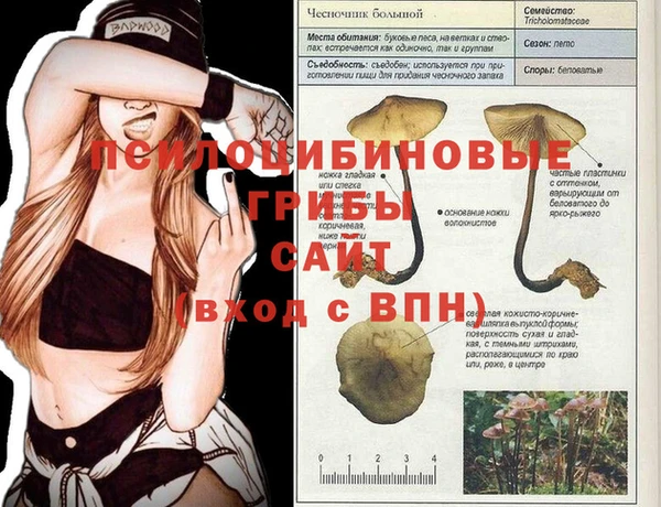 сатива Балахна