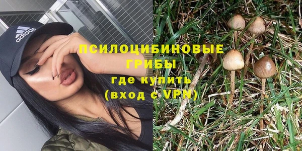 сатива Балахна